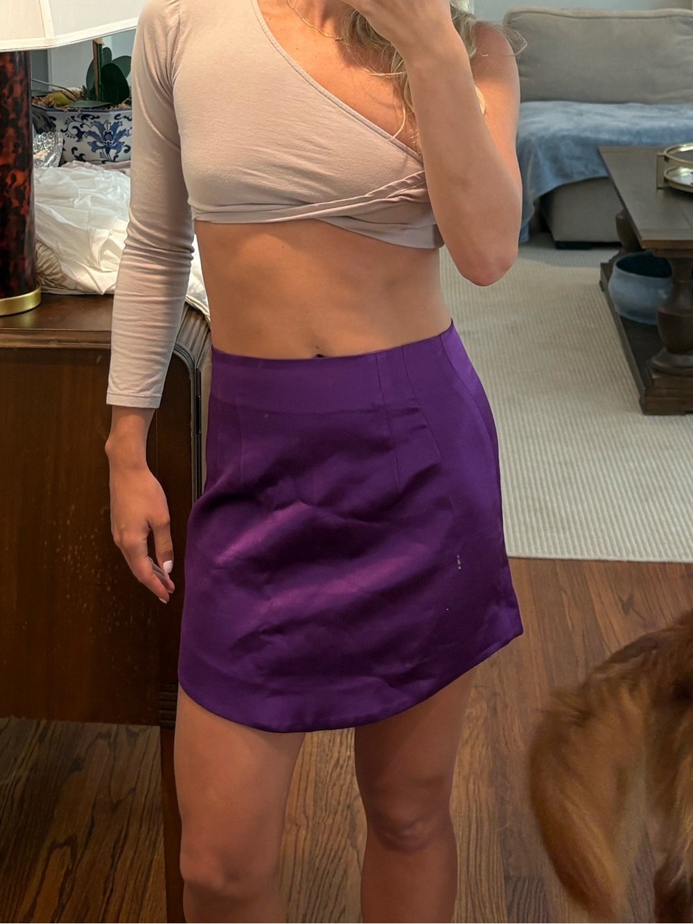 Zara Purple Mini Skirt